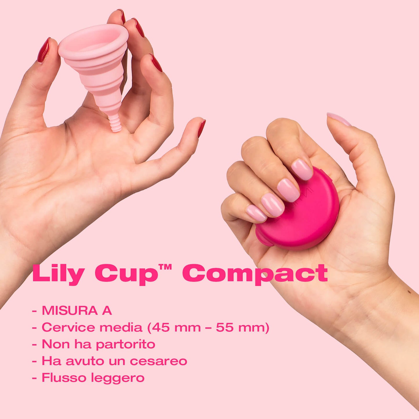 Lily Cup Compact